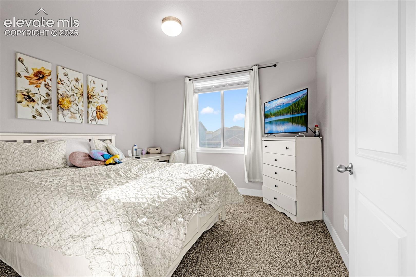 Carpeted bedroom with a window featuring white blinds and drapes, a flush-mount ceiling light, and light gray wall paint