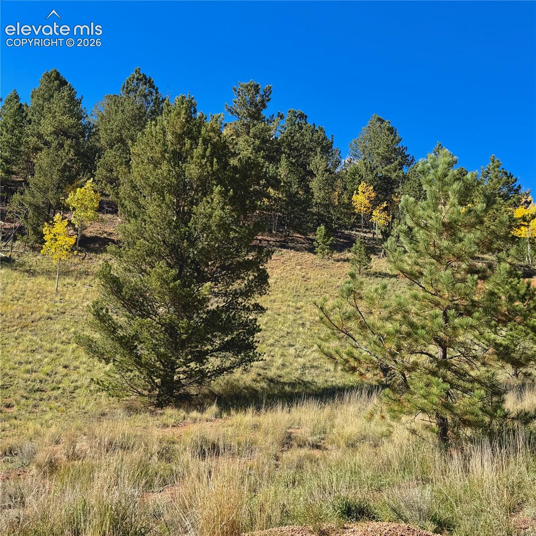 Photo 7 of 200 Beaver Pond Road, Divide
