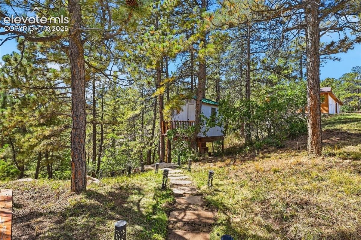 Tree house
