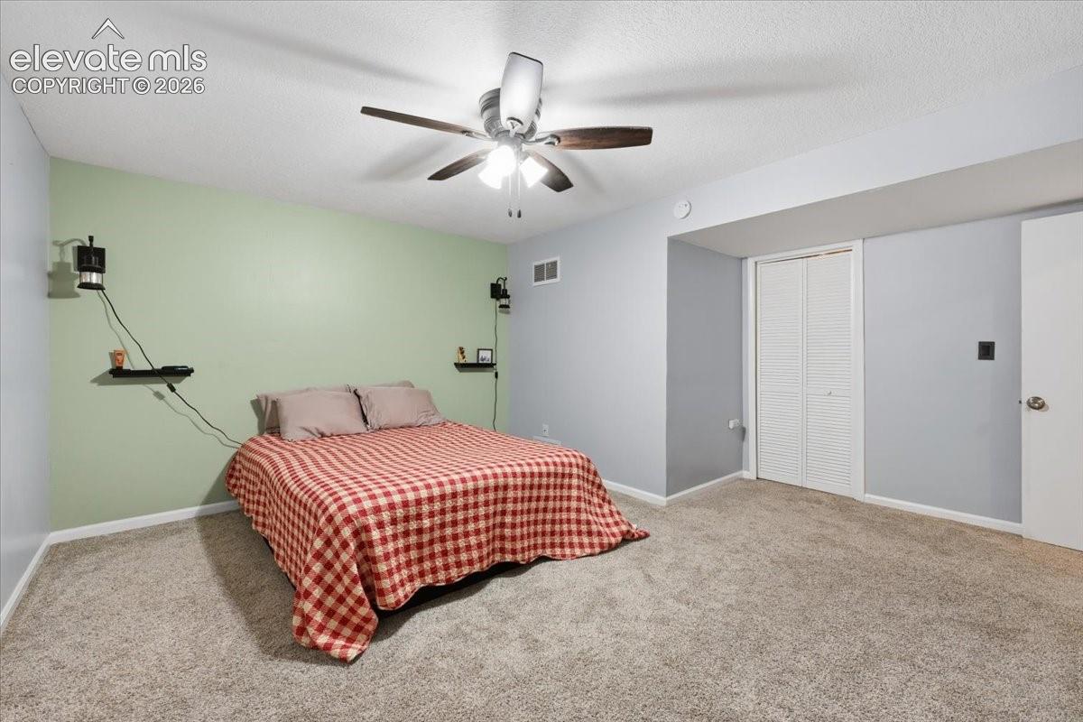 Basement bedroom 3 - Currently used as the primary bedroom.
