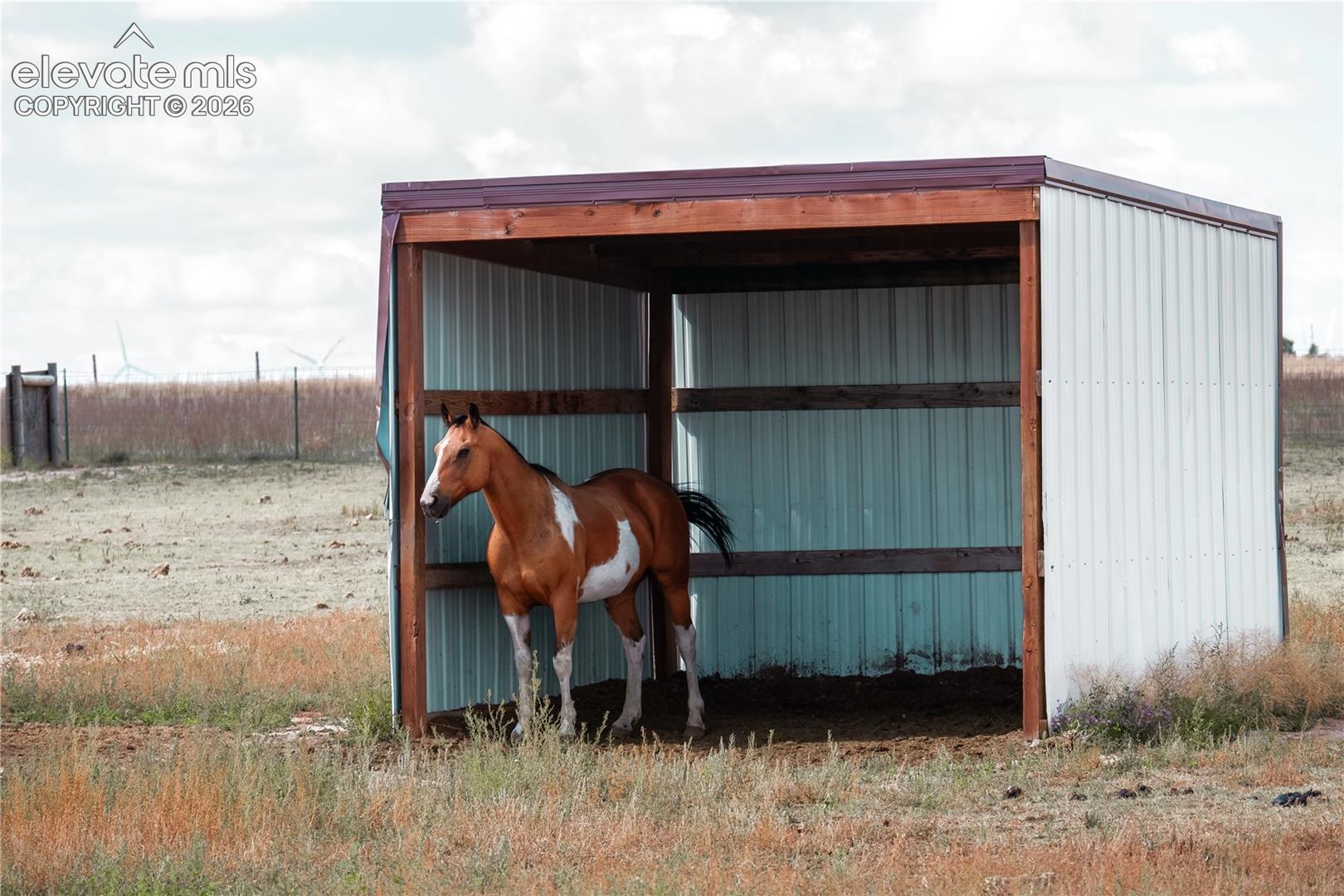 loafing sheds