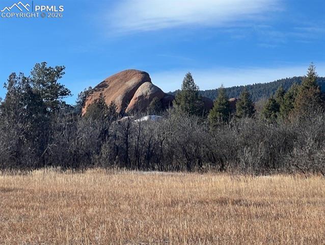 Photo 11 of 6009 St Andrews Court, Larkspur