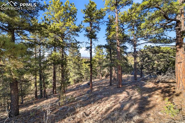 94 Piute Dr, Canon City, CO 81212