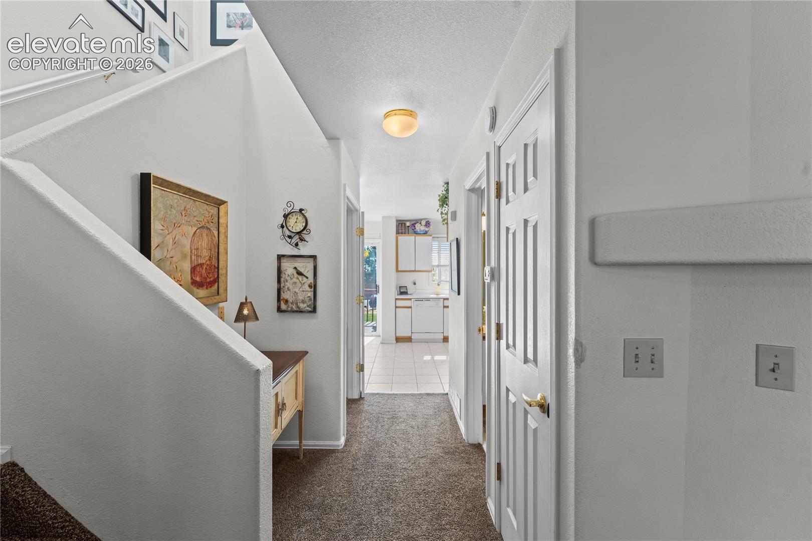 Carpeted hallway with white interior doors, a white handrail, and an overhead flush-mount light fixture