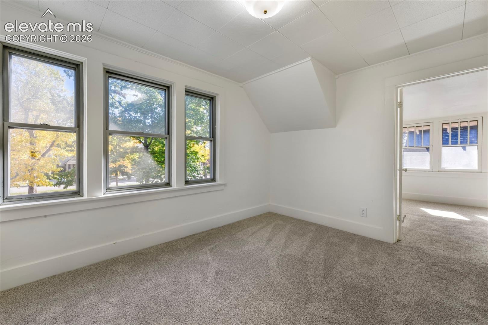Neutral-toned carpeting, triple-window configuration with exterior natural light, and ceiling-mounted light fixture