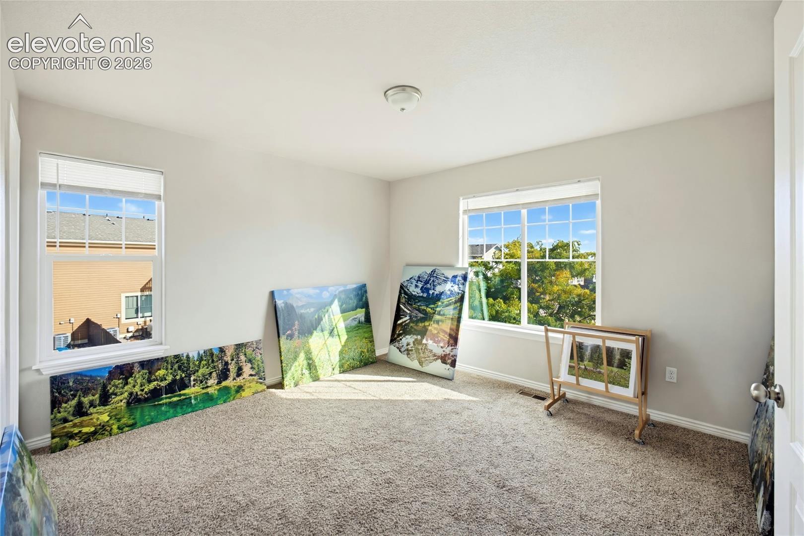 Neutral-toned interior space featuring wall-to-wall carpeting, dual windows with multi-pane glazing, and a central ceiling-mounted light fixture