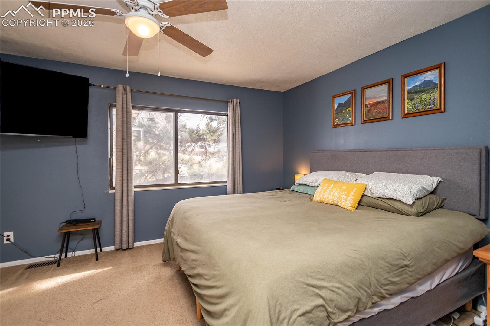 Photo 24 of 3808 Oro Blanco Drive, Colorado Springs
