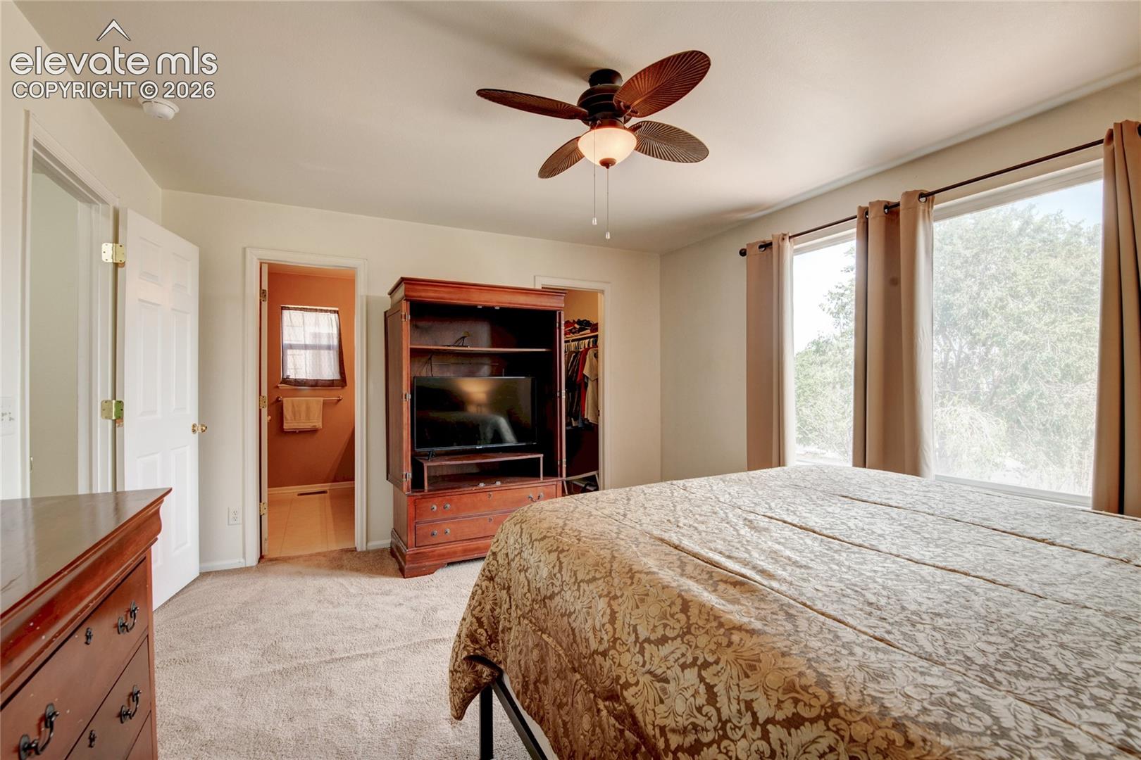 Carpeted room featuring a ceiling fan, two windows with curtain rods, and two interior doorways