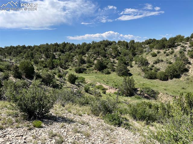 Photo 10 of Railroad Springs Road, Pueblo