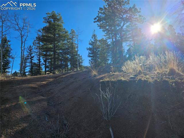 Photo 31 of 652 Derby Drive, Cripple Creek