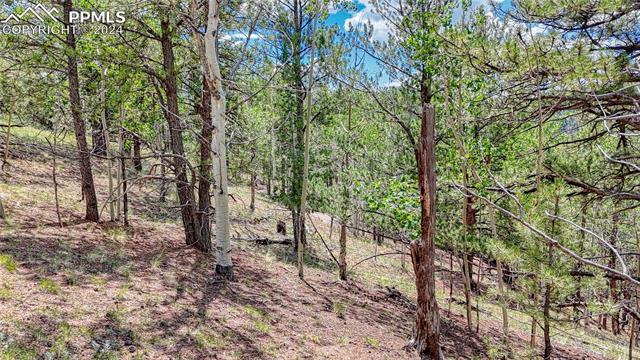 Photo 23 of 24 Wild Horse Circle, Cripple Creek