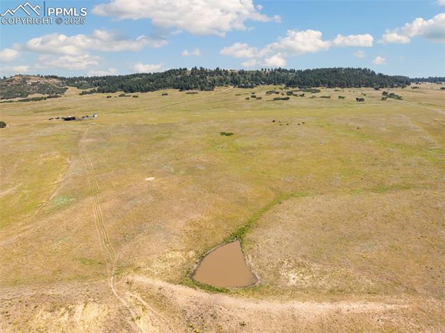 Southwest Corner of the Property in Foreground