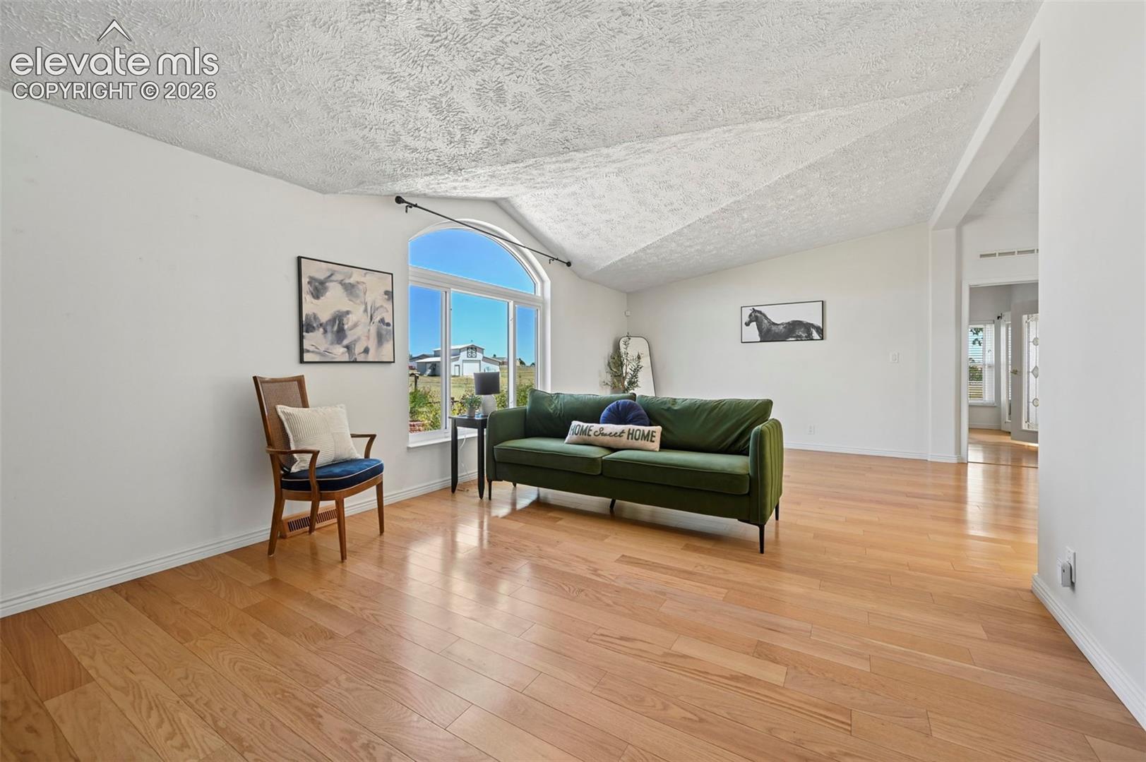Vaulted ceiling with textured finish, expansive arched window, light wood-finish flooring, and white walls