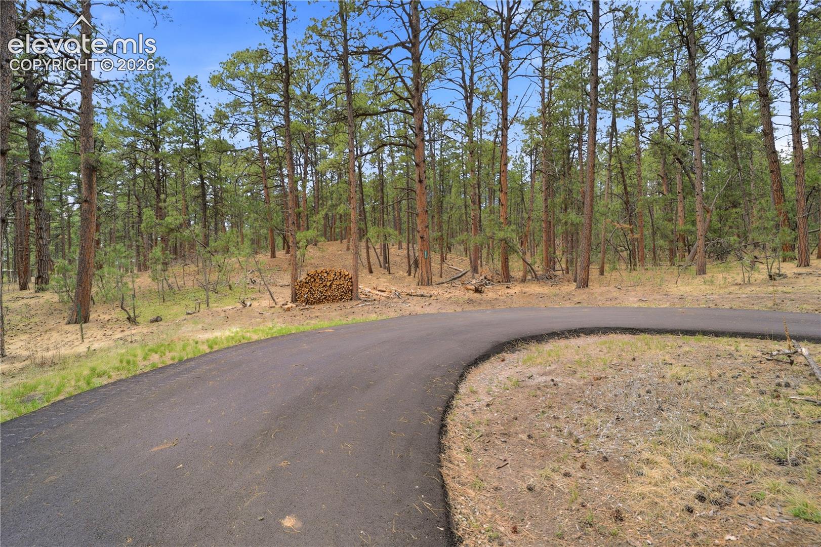 Photo 9 of 15950 Roller Coaster Road, Colorado Springs