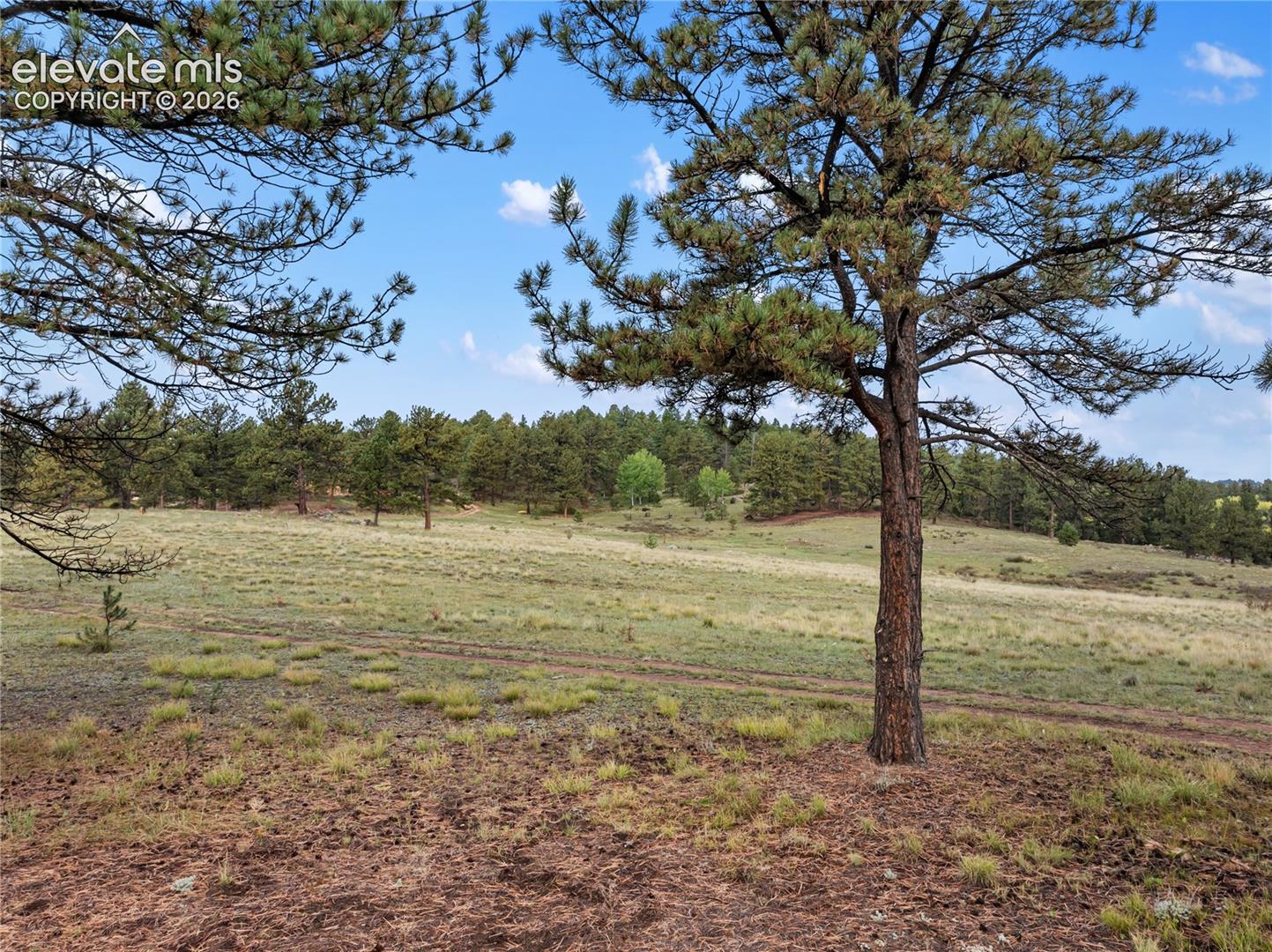 Photo 13 of 1583 County Road 12, Florissant
