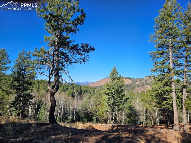 Photo 8 of 652 Derby Drive, Cripple Creek
