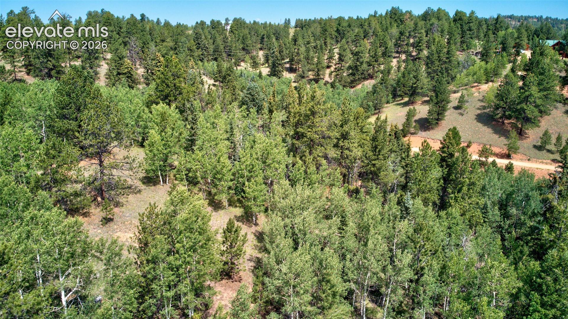Photo 6 of 158 Rattler Court, Cripple Creek