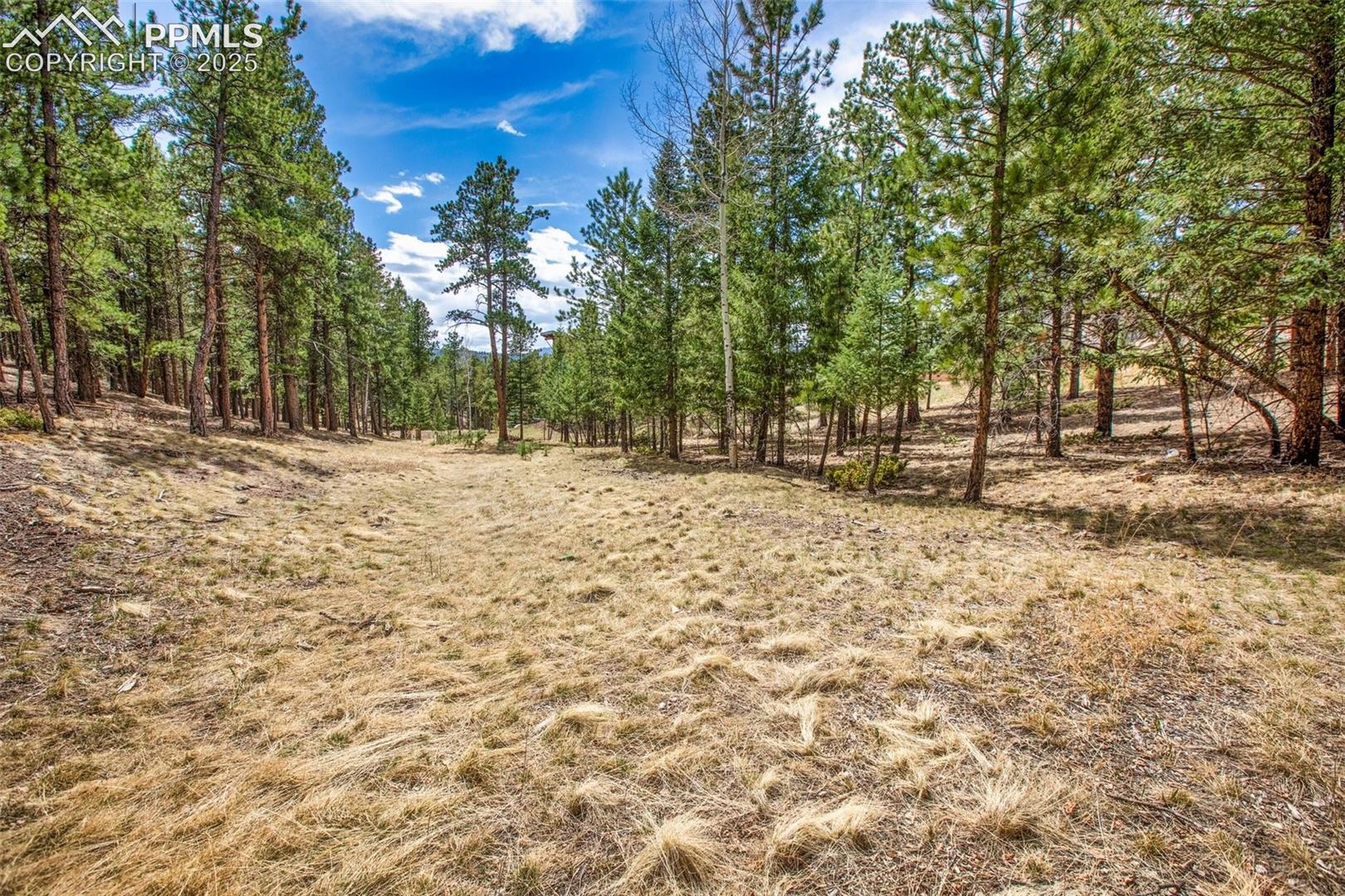 Photo 7 of 271 Thunder Ridge Drive, Woodland Park