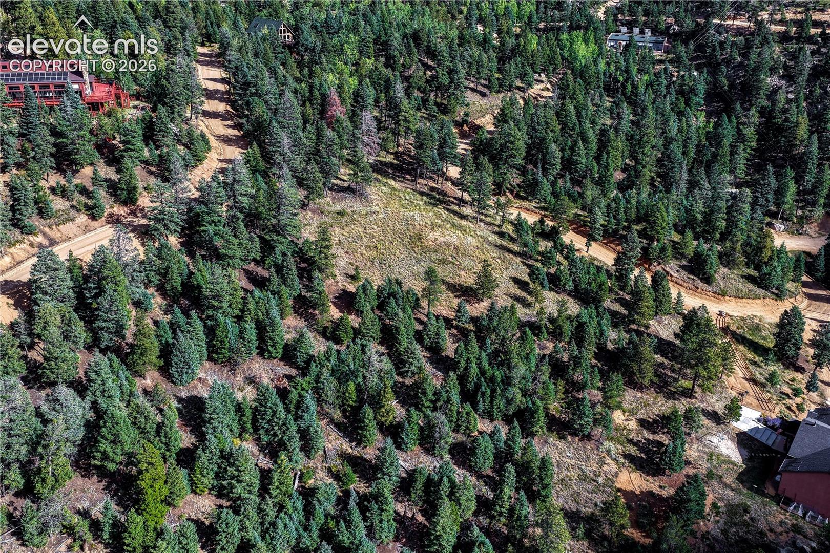 Open meadow ringed by pine, fir and aspen