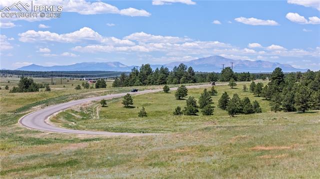 Photo 9 of 10542 Alamar Way, Colorado Springs