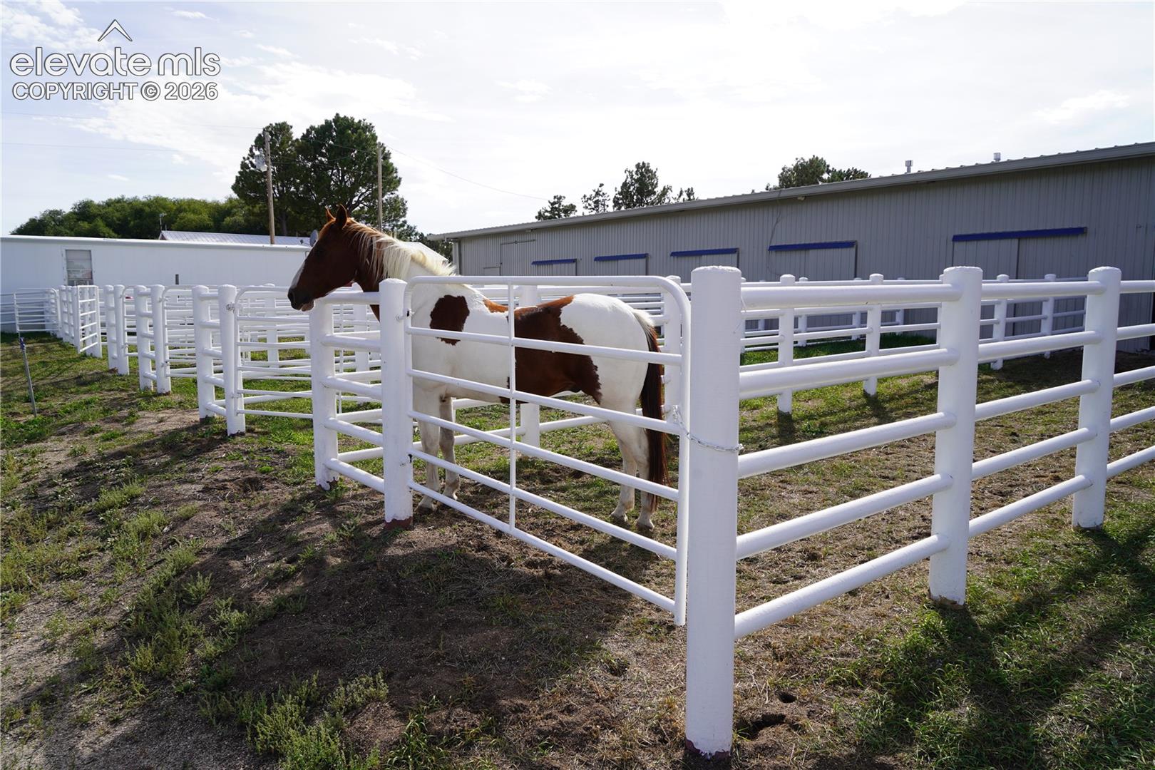 Multiple fenced enclosures with white metal fencing