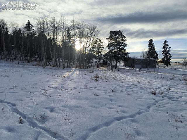 Photo 19 of Will Scarlet Drive, Divide