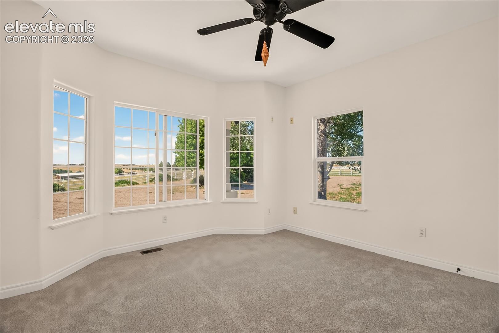 Lots Of Windows, New Carpet Throughout