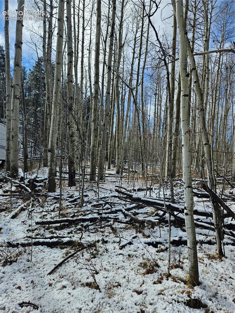 Wooded lot featuring mature aspen trees
