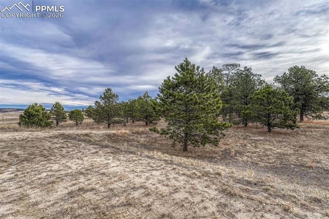 Photo 6 of 16511 Early Light Drive, Colorado Springs