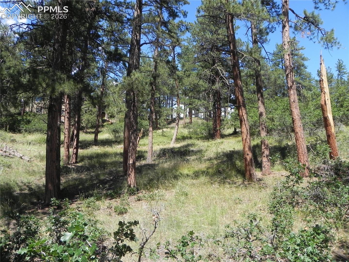 Photo 24 of 4144 Cheyenne Drive, Larkspur