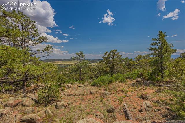 Photo 8 of 15505 S Cuerno Verde View, Colorado Springs