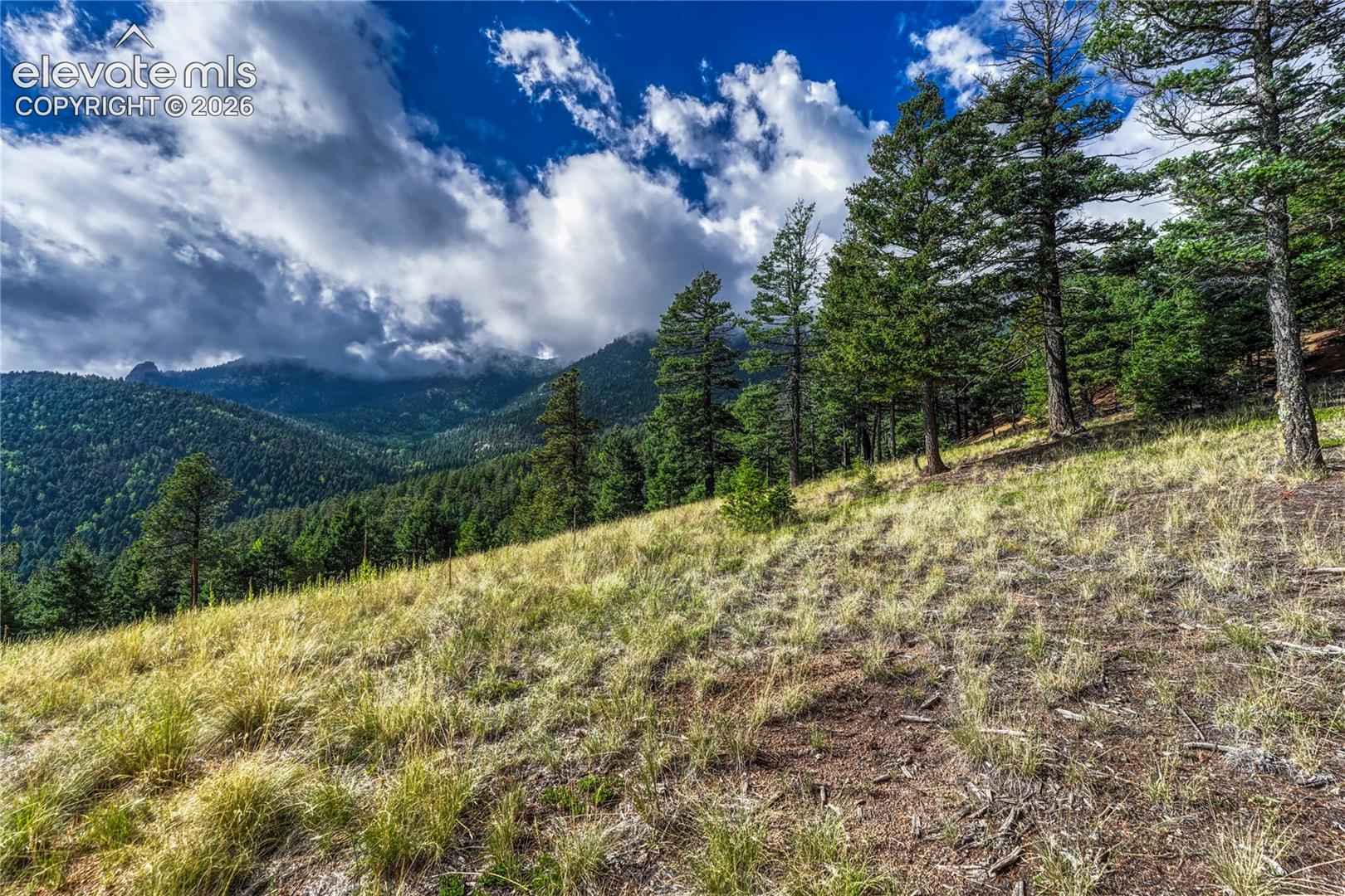 Meadow with mountain views