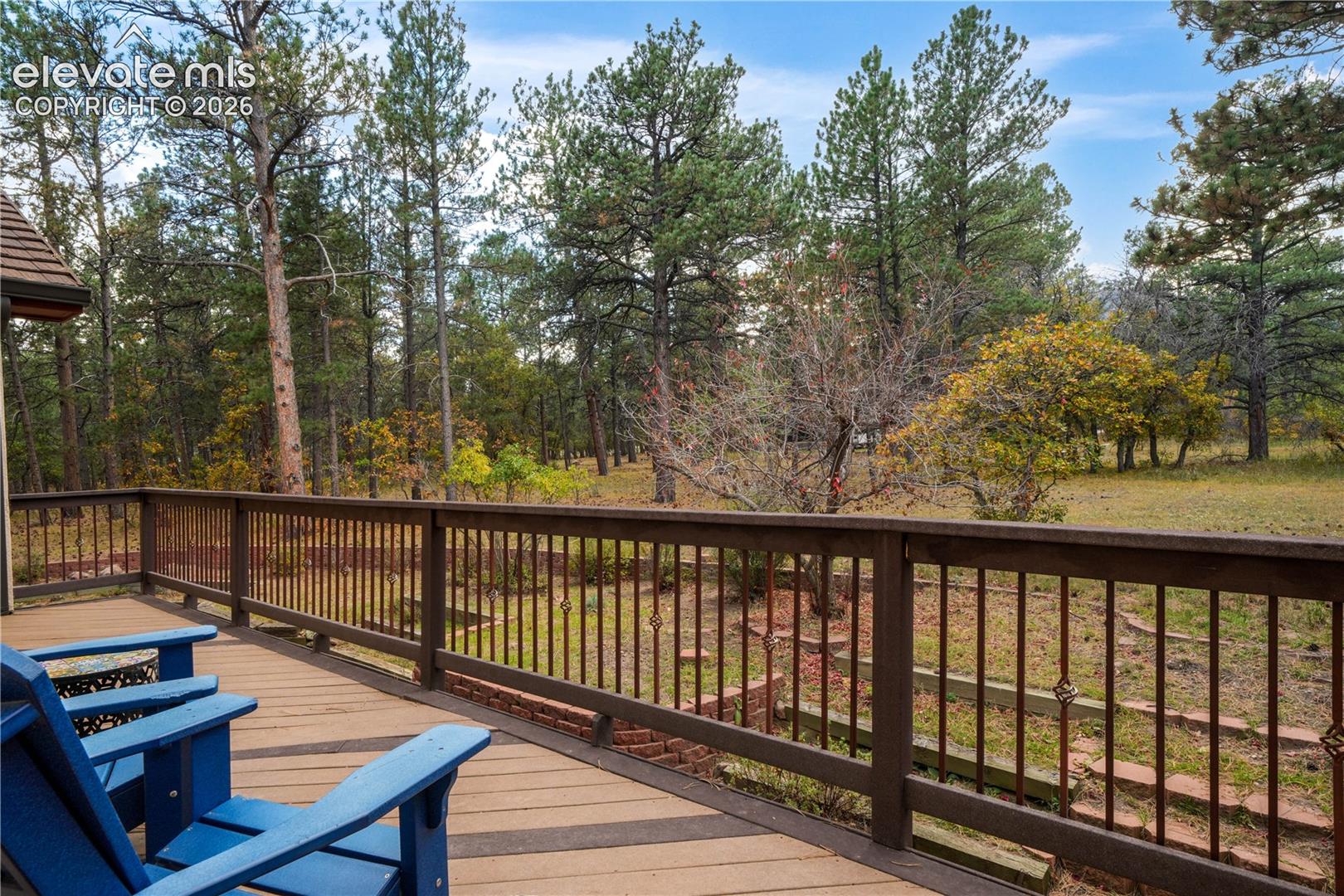 Large back deck 