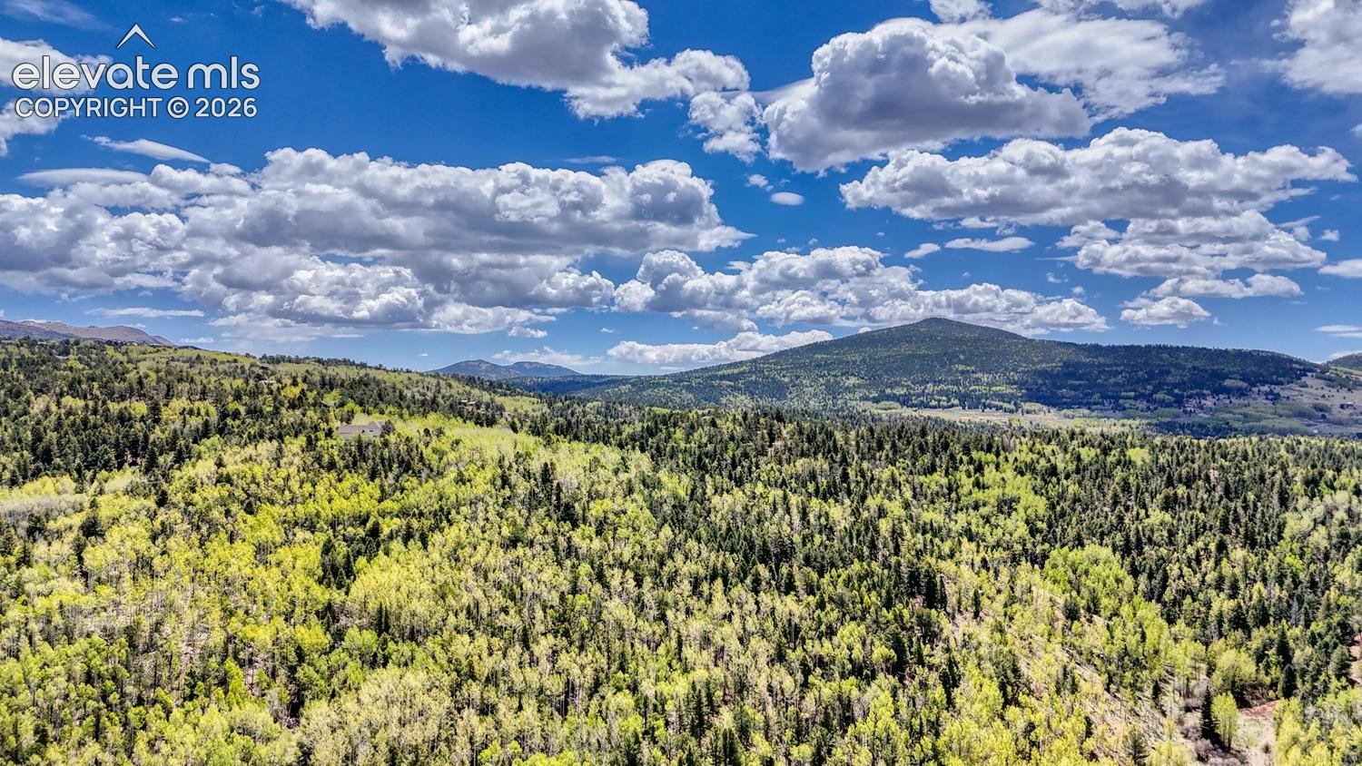 Photo 14 of 2031 Gold King Drive, Cripple Creek