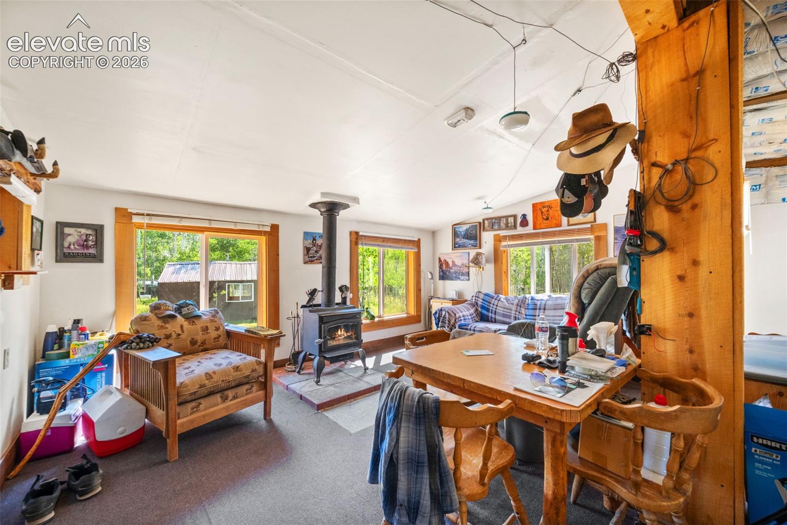 106 Forest Ct, Guffey, CO 80820