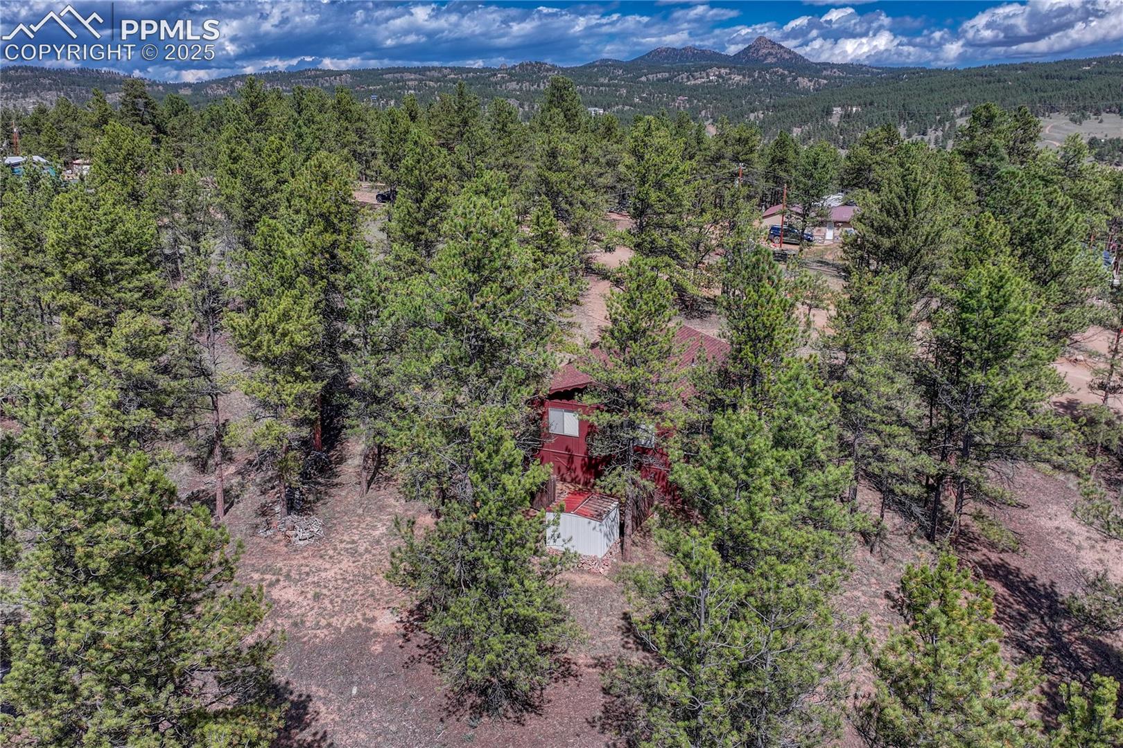 aerial view of the backyard