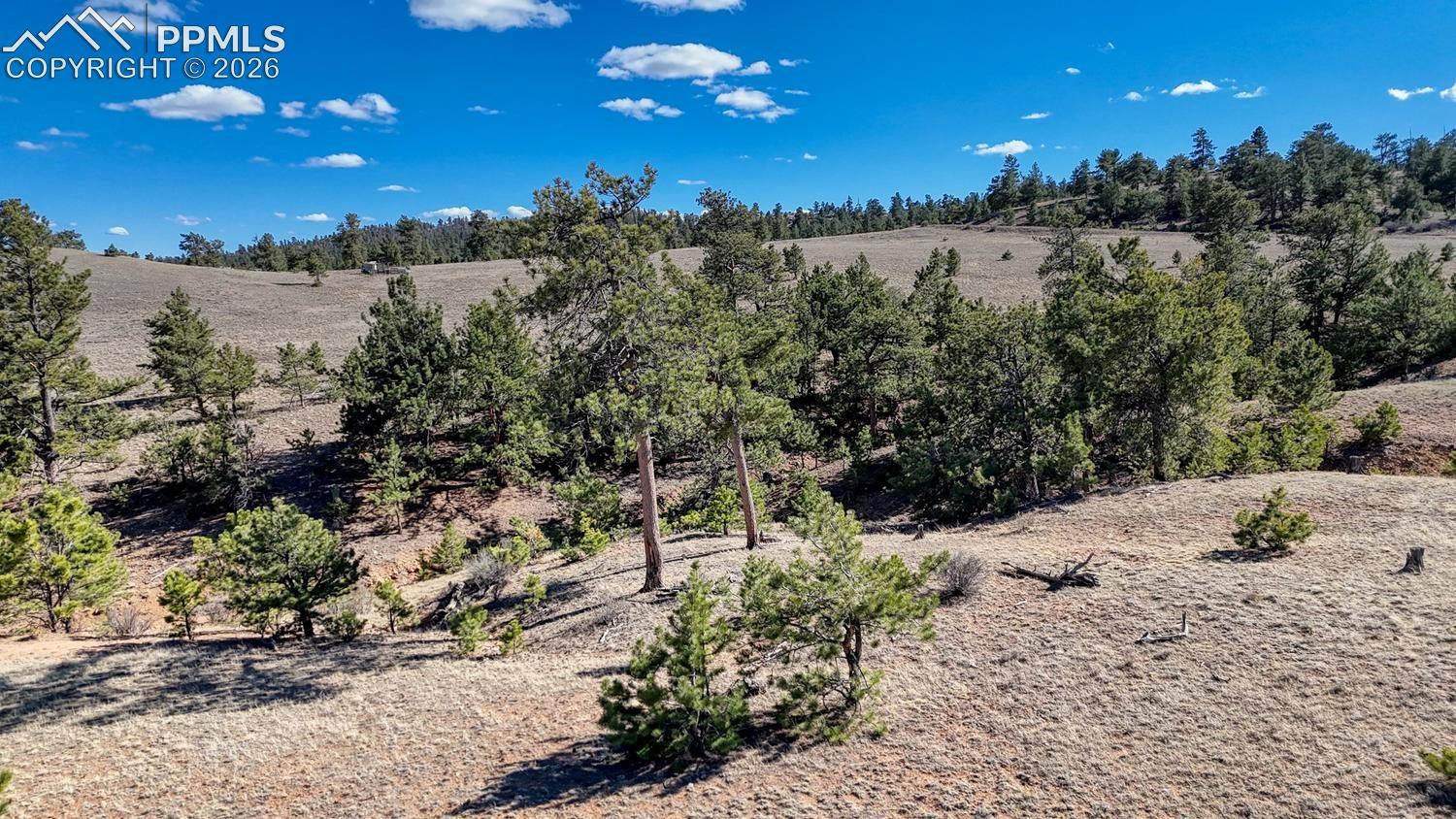 Photo 13 of L5090L5097 Arikara Trail, Hartsel