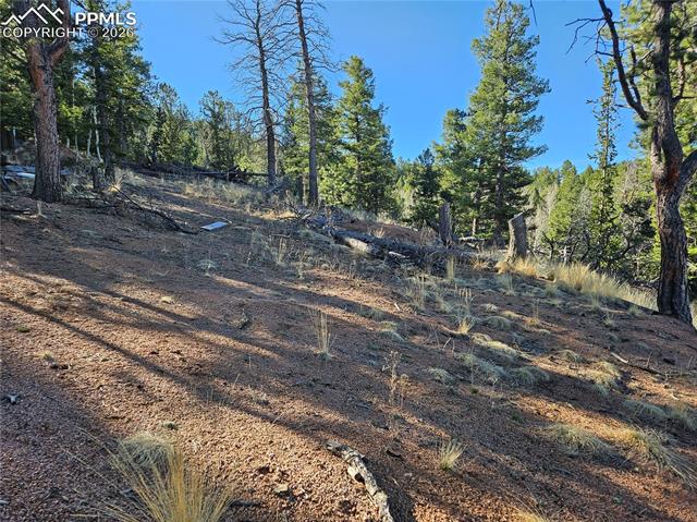 Photo 14 of 652 Derby Drive, Cripple Creek