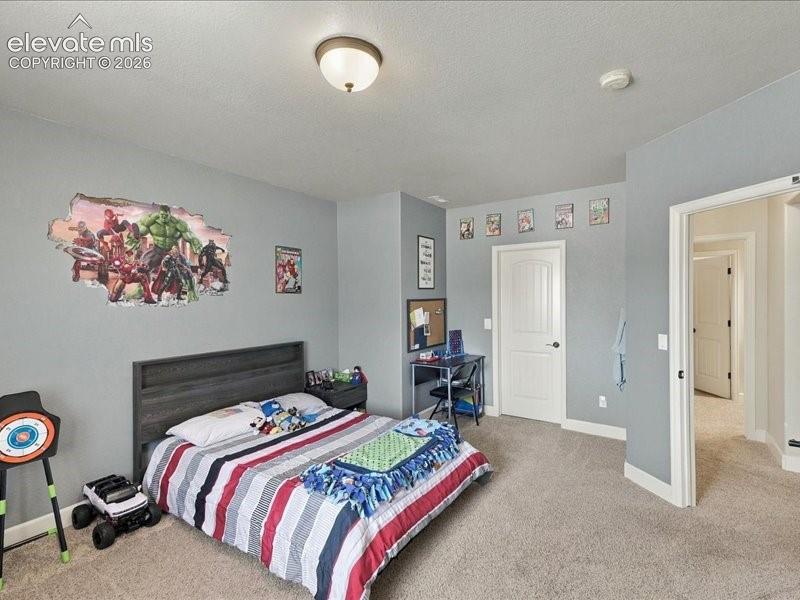 Carpeted flooring with light gray wall paint, a white interior door, and a flush mount ceiling light fixture