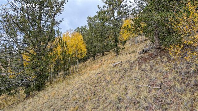 Photo 16 of 65 Portland Drive, Cripple Creek