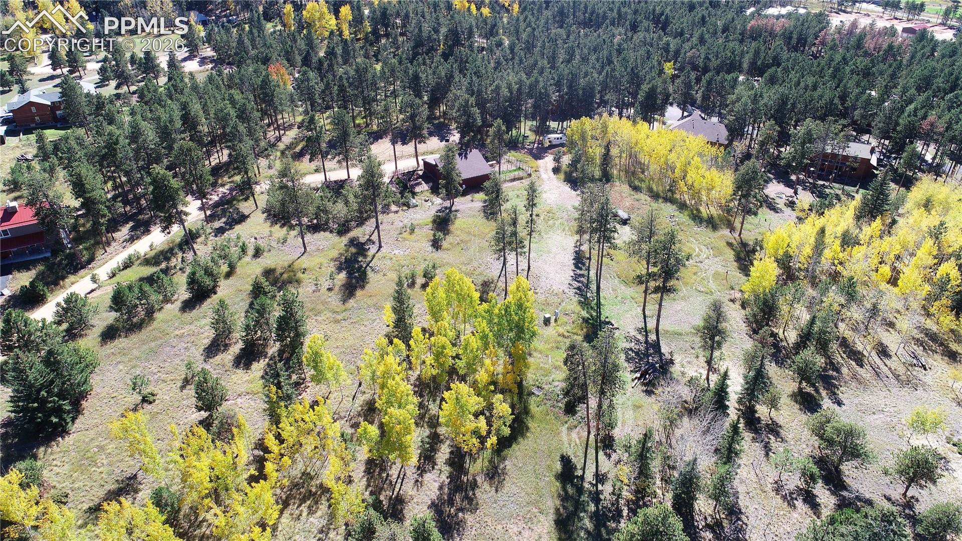 Photo 42 of 210 Bridlewood Lane, Woodland Park