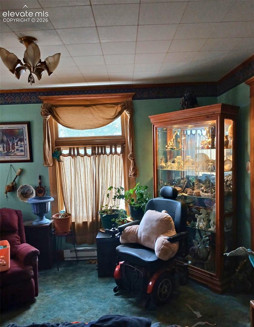 401 Carr Ave, Cripple Creek, CO 80813