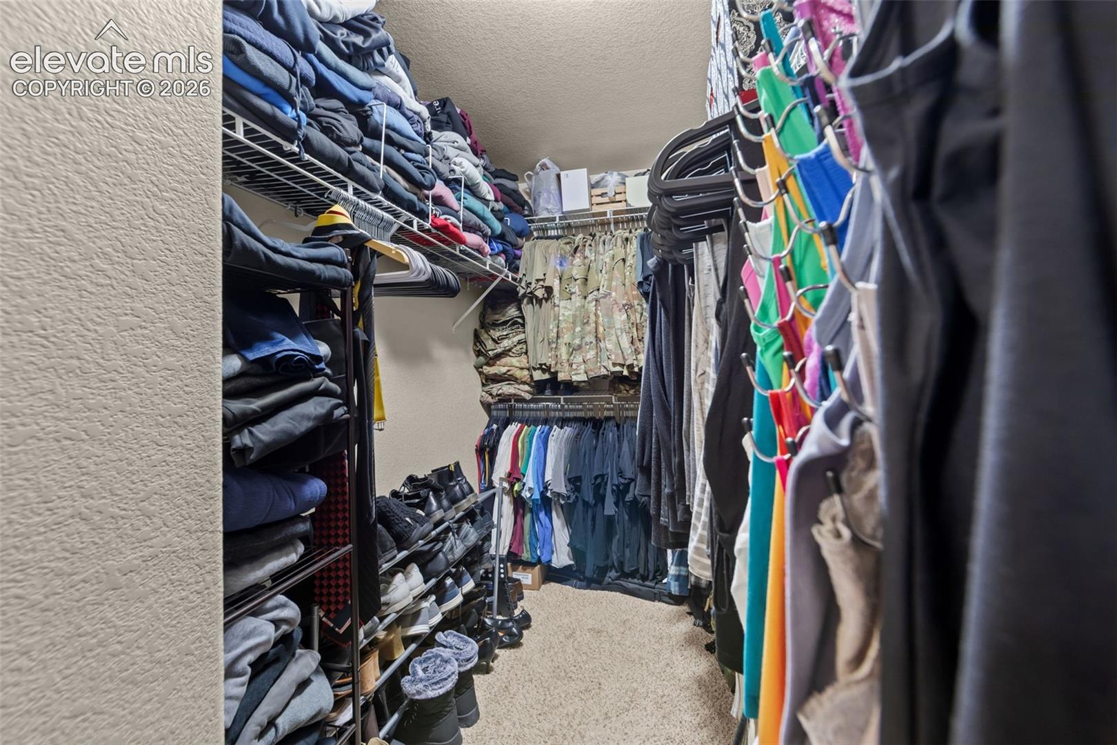 Walk-in closet featuring wire shelving, hanging rods, and carpet flooring