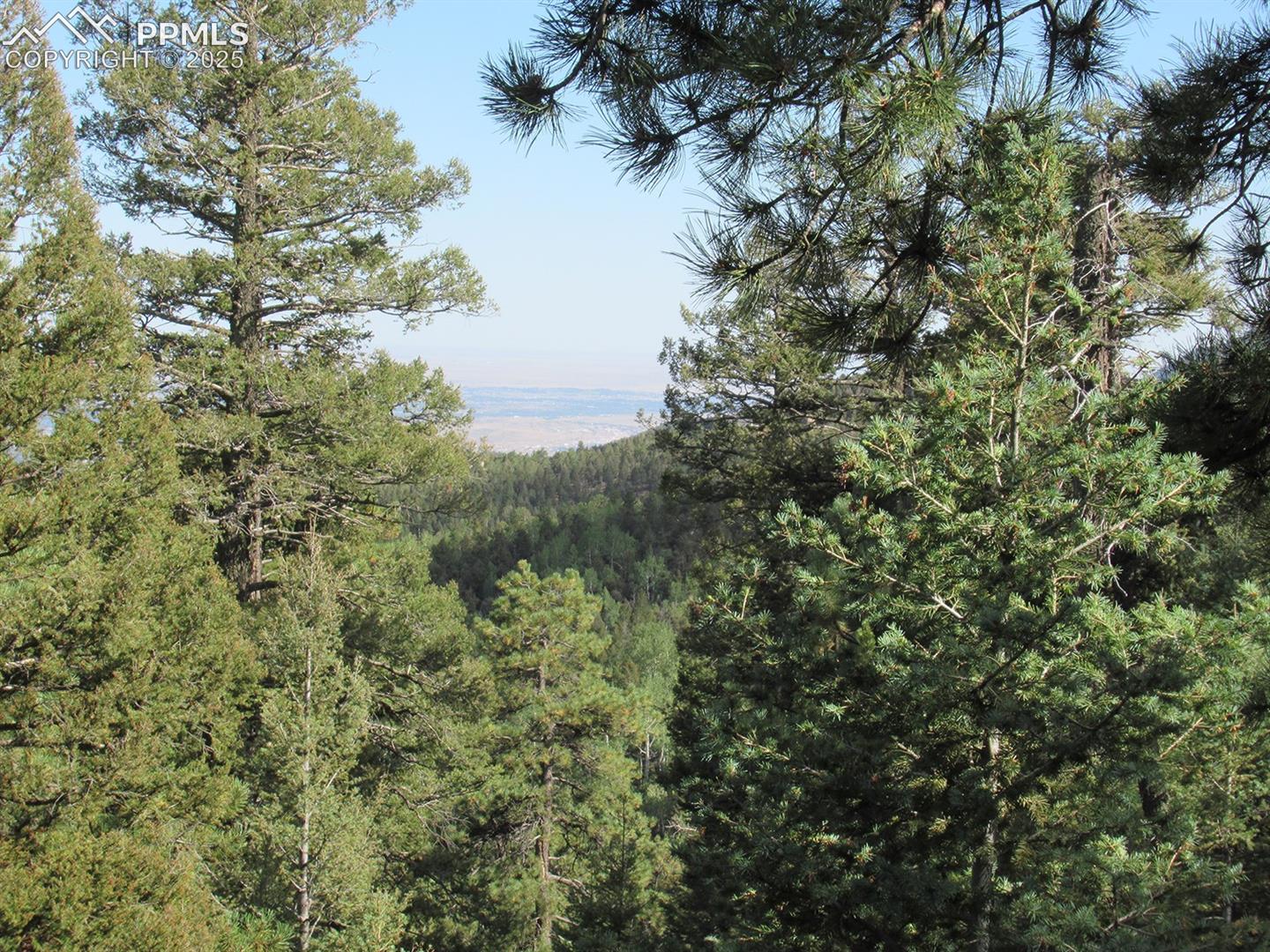 Photo 11 of 213 Coffee Pot Road, Manitou Springs