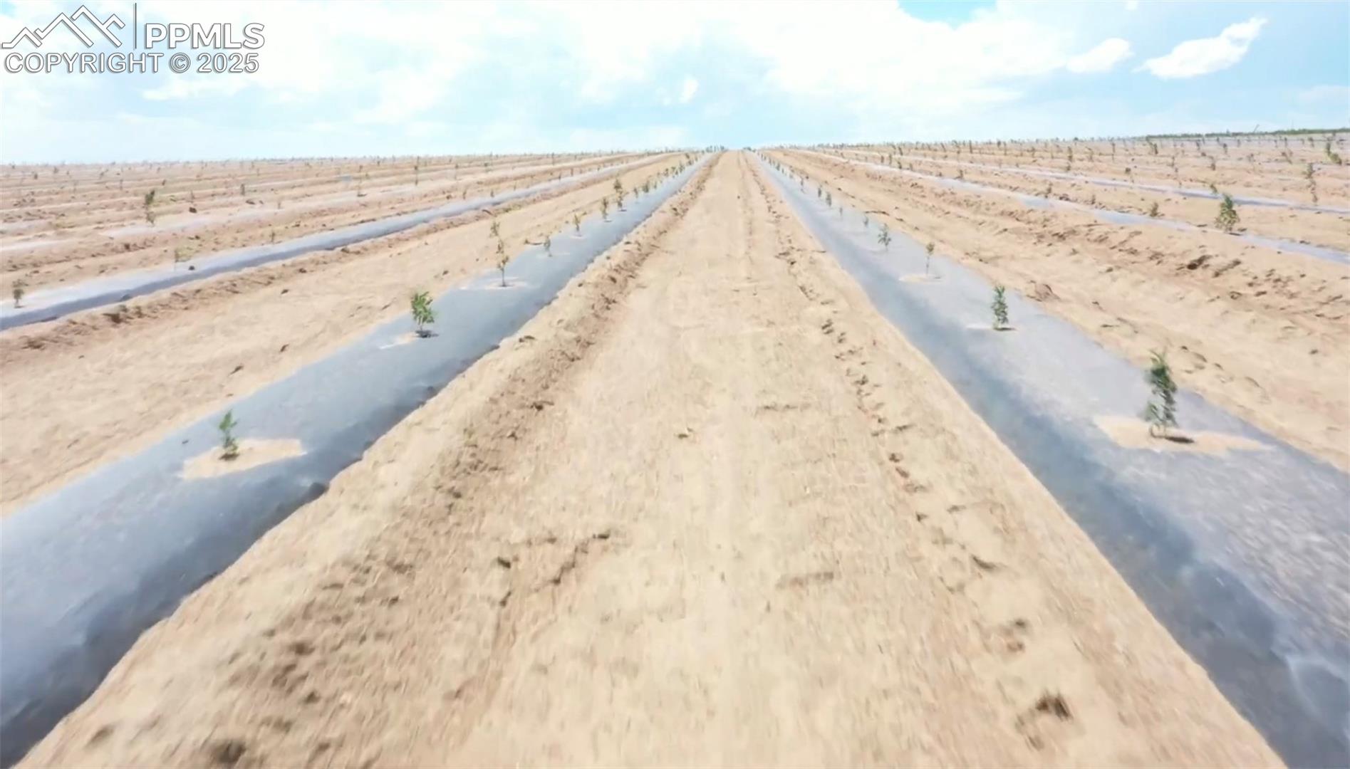 Fields when in production
