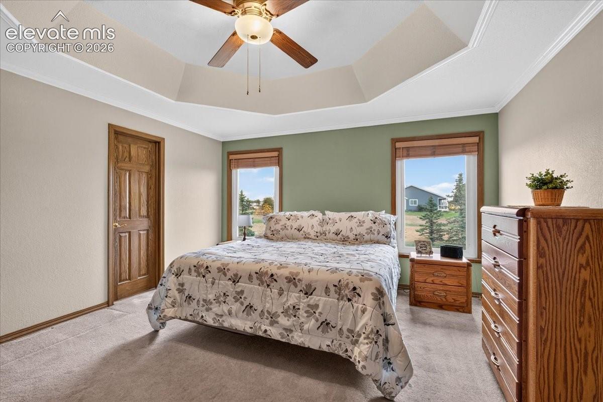 Tray ceiling with a central multi-blade ceiling fan, dual windows with wood-tone casing, and six-panel wooden interior door