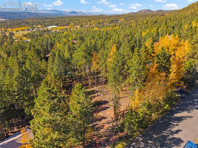 Photo 14 of 1320 Forest Edge Road, Woodland Park