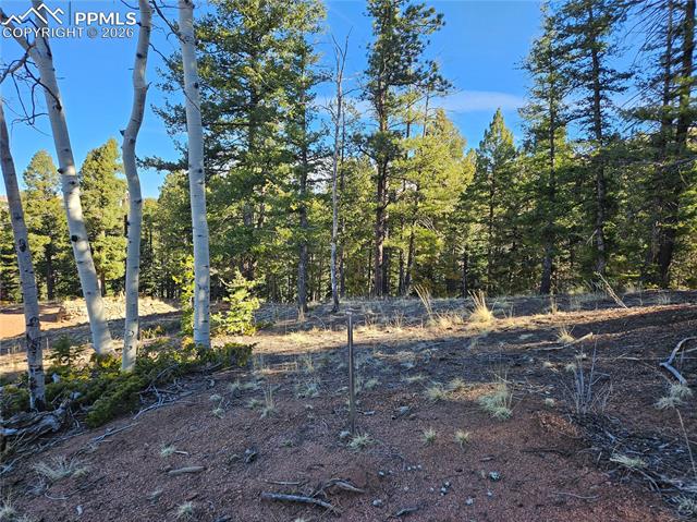 Photo 17 of 652 Derby Drive, Cripple Creek