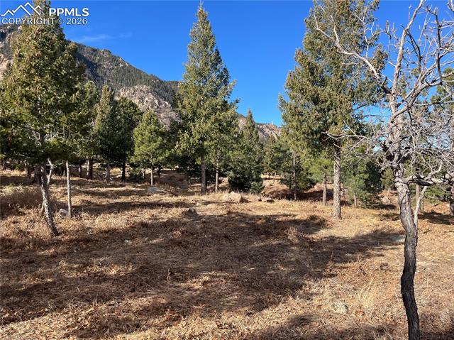 Photo 9 of 920 Grey Mountain Point, Colorado Springs