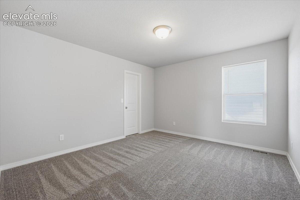 Neutral wall paint, carpeting, flush-mount ceiling lighting, single-panel interior door, and window with blinds